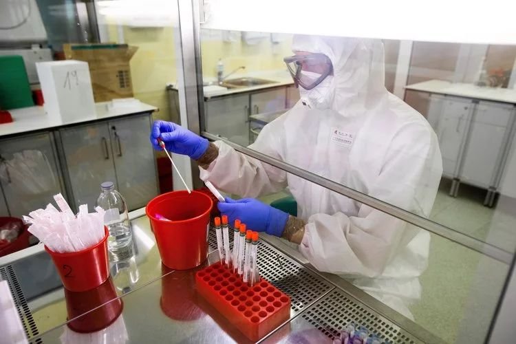 Niemieccy badacze poinformowali o pierwszym zakażeniu człowieka tulawirusem (podgatunku hantawirusów)