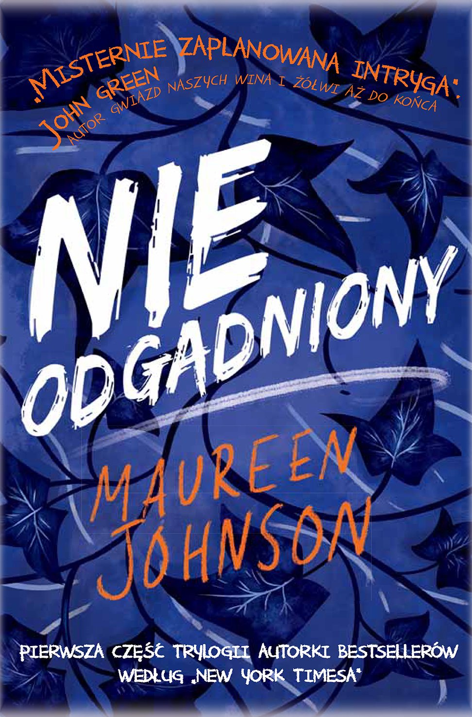 Maureen Johnson "Nieodgadniony"