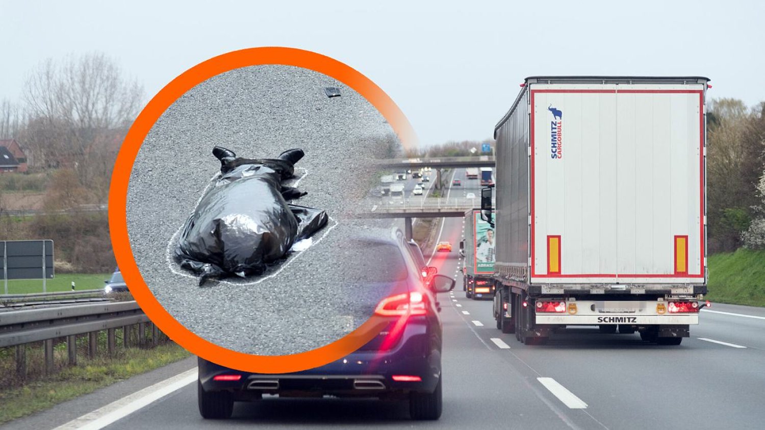 Ciało 20-latka z Polski znaleziono przy autostradzie A2 w Niemczech. Ciało 20-latka z Polski znaleziono przy autostradzie A2 w Niemczech.