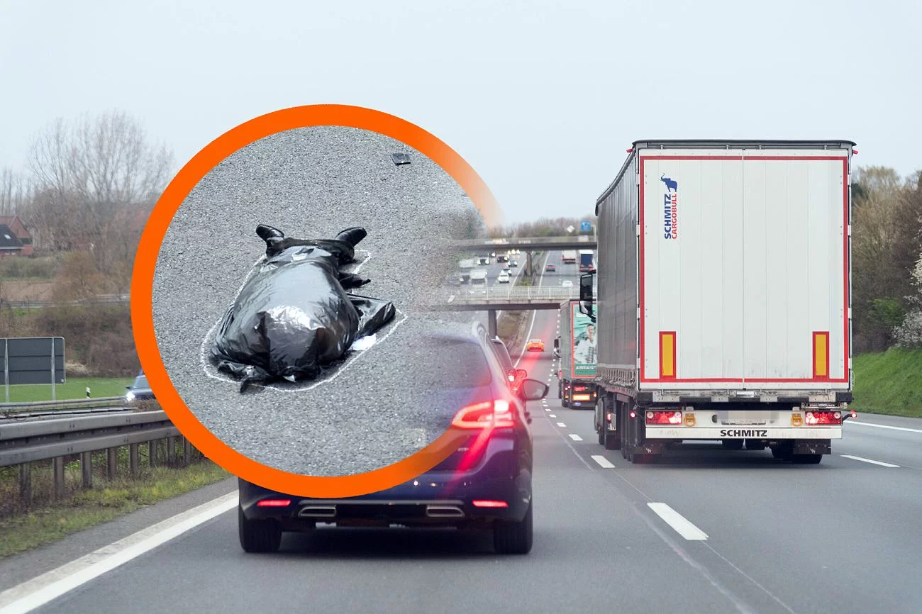 Ciało 20-latka z Polski znaleziono przy autostradzie A2 w Niemczech. Ciało 20-latka z Polski znaleziono przy autostradzie A2 w Niemczech.