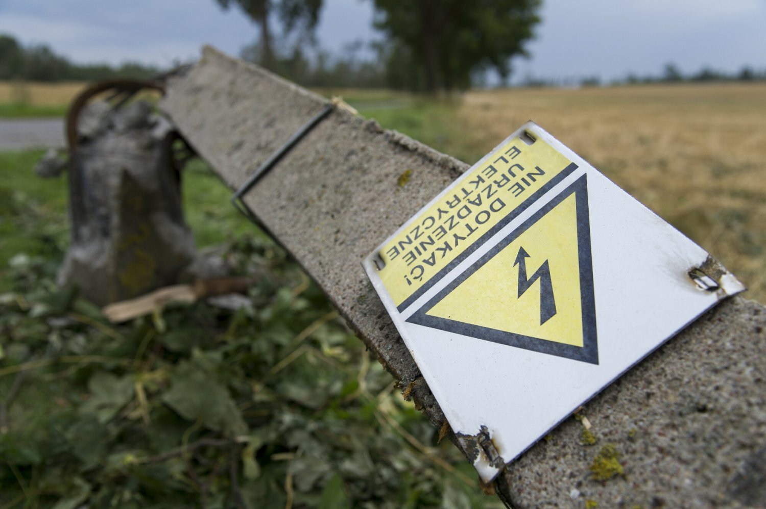 Na północy Polski może wystąpić silny wiatr, a co za tym idzie - także przerwy w dostawie prądu.