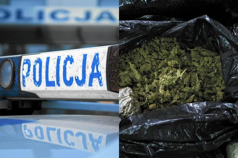 Według Wolnych Konopi najazd policji na placówkę BioInfoBanku mógł  być wynikiem zmowy z mafią.
