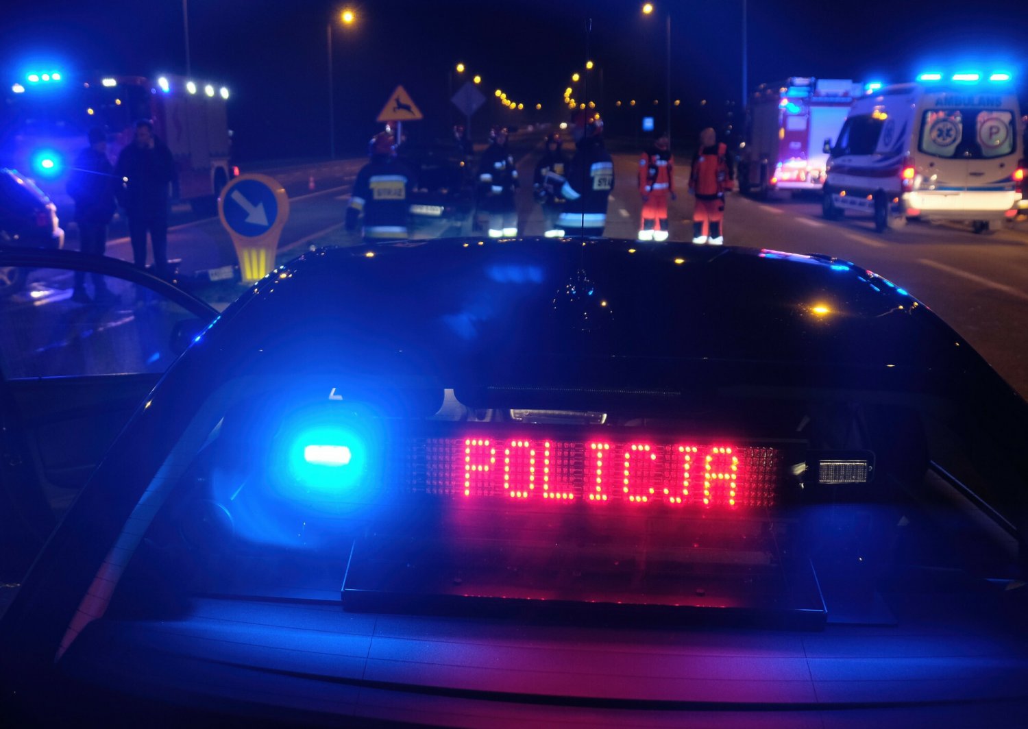 Zdjęcie jest ilustracją do treści.