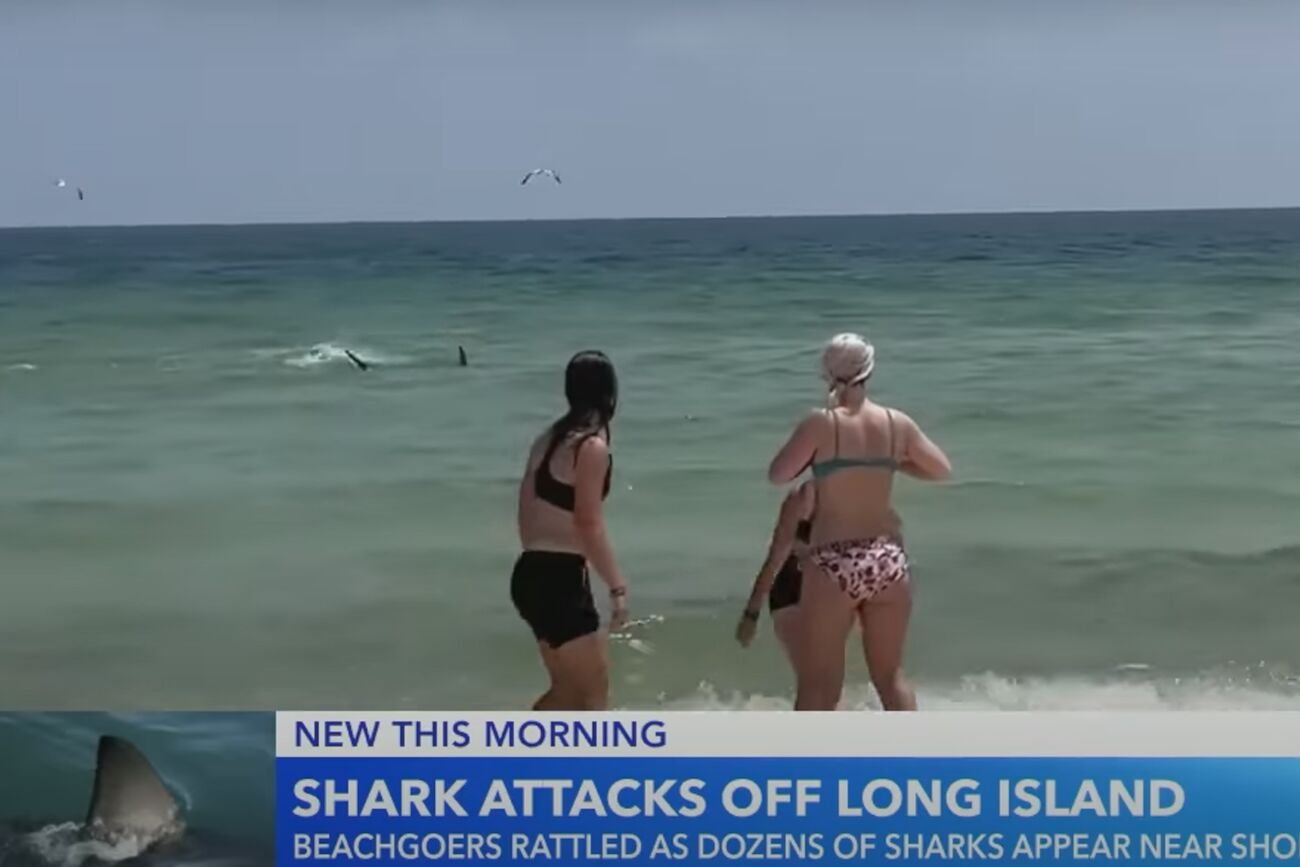 Coraz więcej ataków rekinów w USA. Policjanci z Nowego Jorku będą patrolować plaże za pomocą dronów