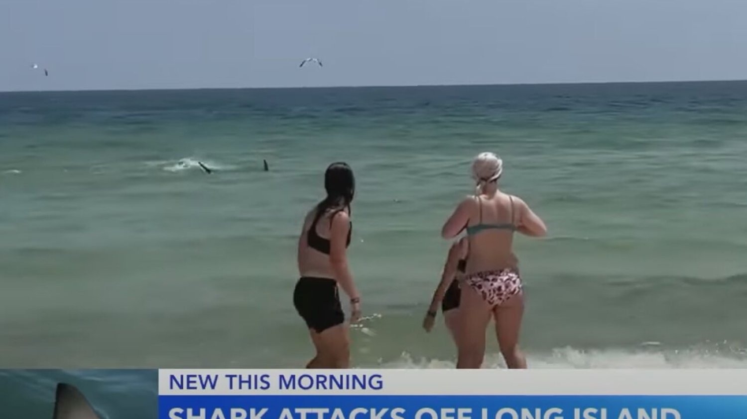 Coraz więcej ataków rekinów w USA. Policjanci z Nowego Jorku będą patrolować plaże za pomocą dronów