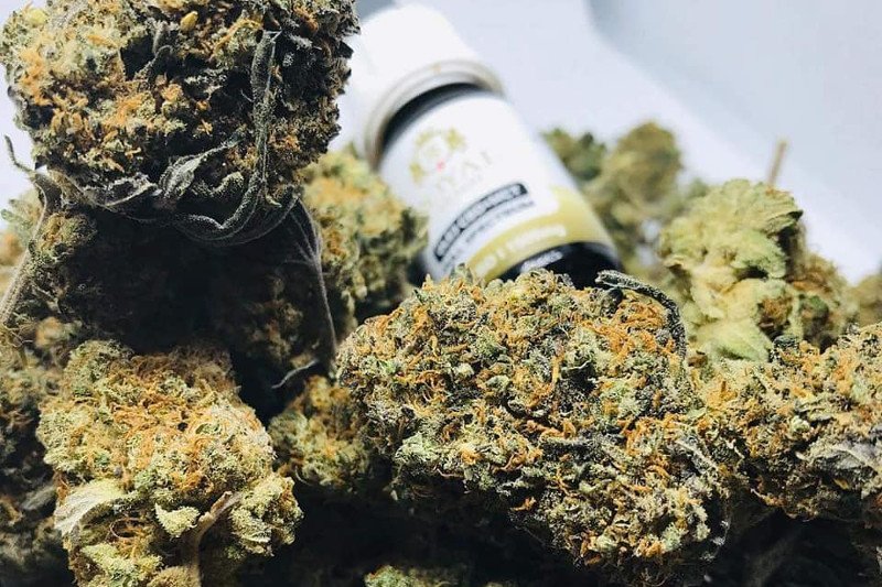 Samozwańczy Narodowy Instytut Konopi Indyjskich zaalarmował, że sklepy sprzedające produkty z CBD padają ofiarą irracjonalnych kontroli policji i sanepidu.