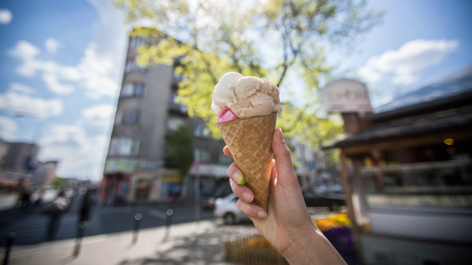 Lody dla ochłody, lody dla osłody!