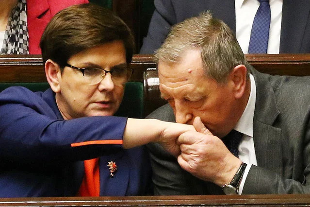 W marcu premier Beata Szydło w Sejmie próbowała zaciekle bronić ministra środowiska Jana Szyszki