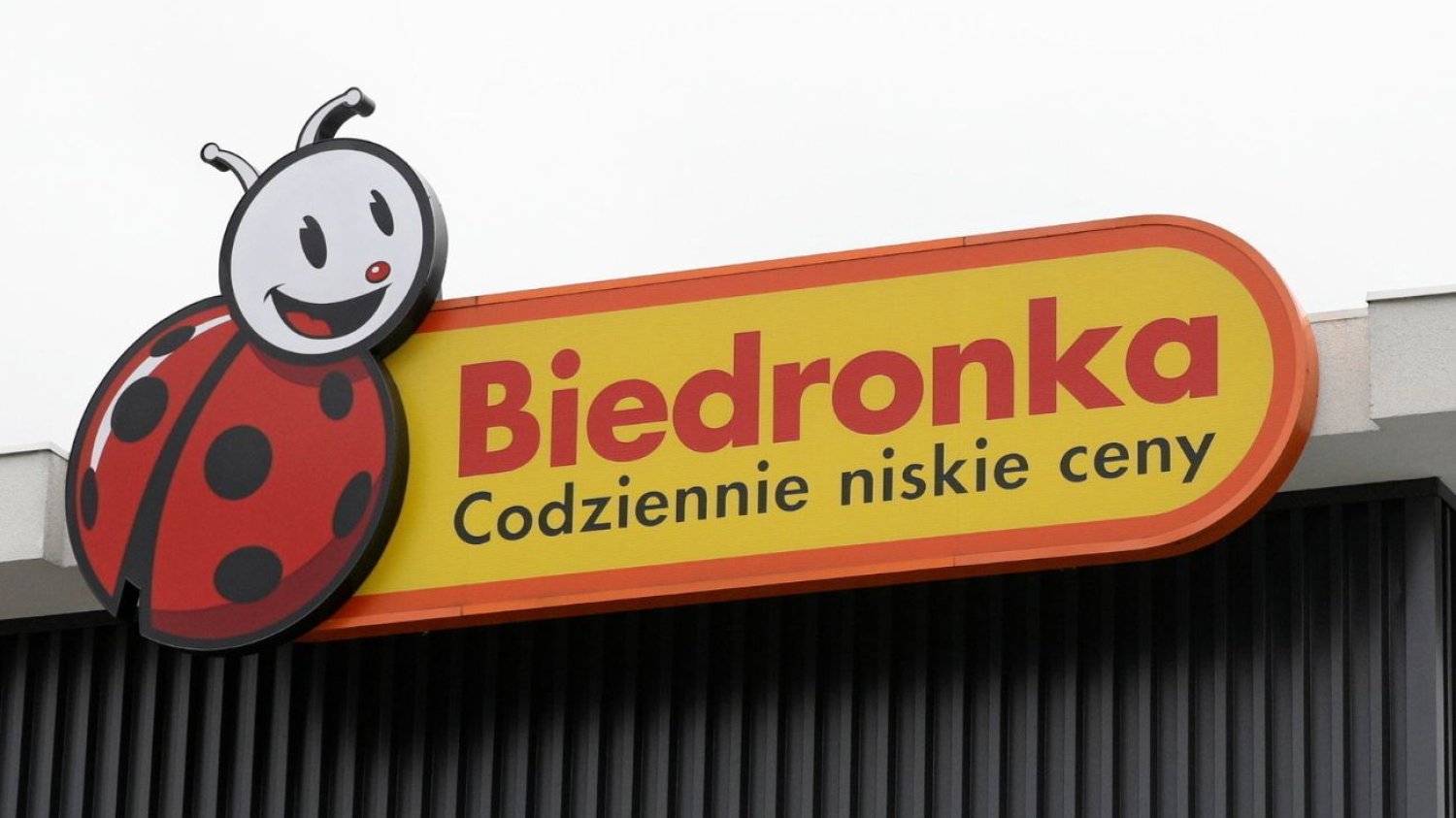 Pilne ostrzeżenie GIS. Uważaj na polędwiczki z tej sieci. Pilny komunikat GIS. Wykryto bakterię Salmonella w produkcie z Biedronki.