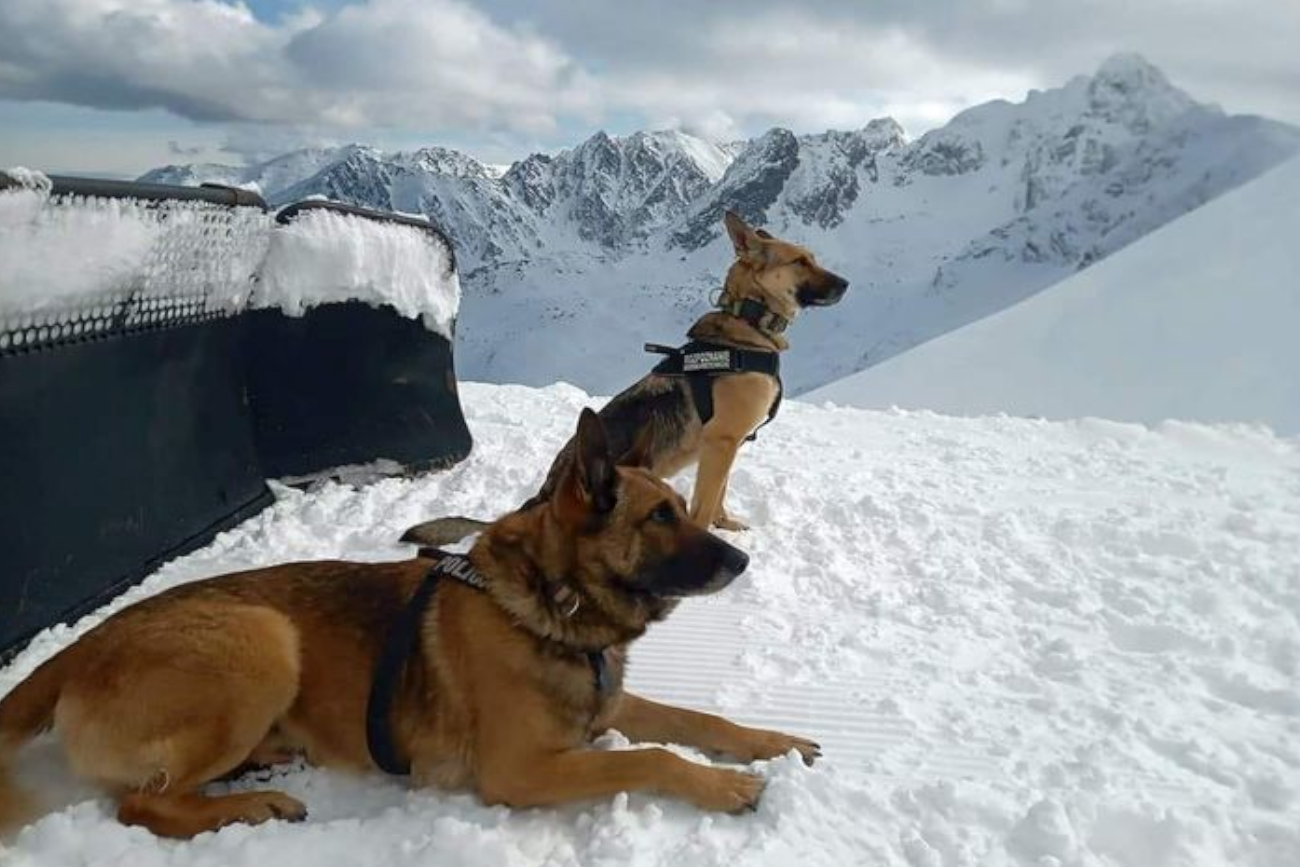 Śmiertelny wypadek w Tatrach. Policjanci ustalili, kim jest ofiara lawiny w Świnickiej Kotlince.