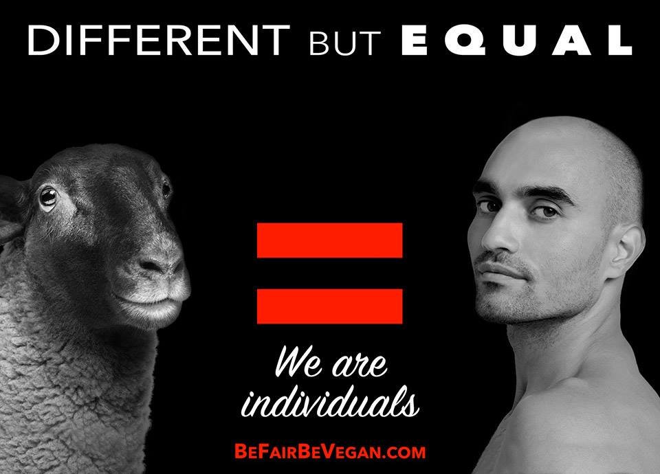 "Different but equal" - Wegańska kampania billboardowa na Time Squere, sierpień-wrzesień 2016