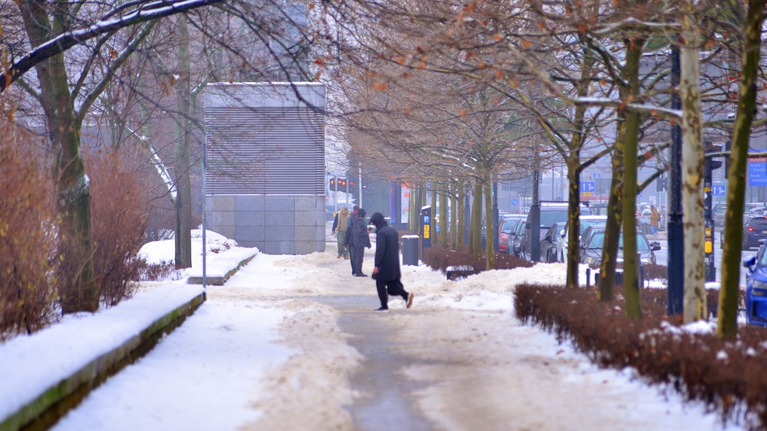 Pierwsza od lat wiosna bez suszy. Ale martwią mnie możliwe skutki mrozów