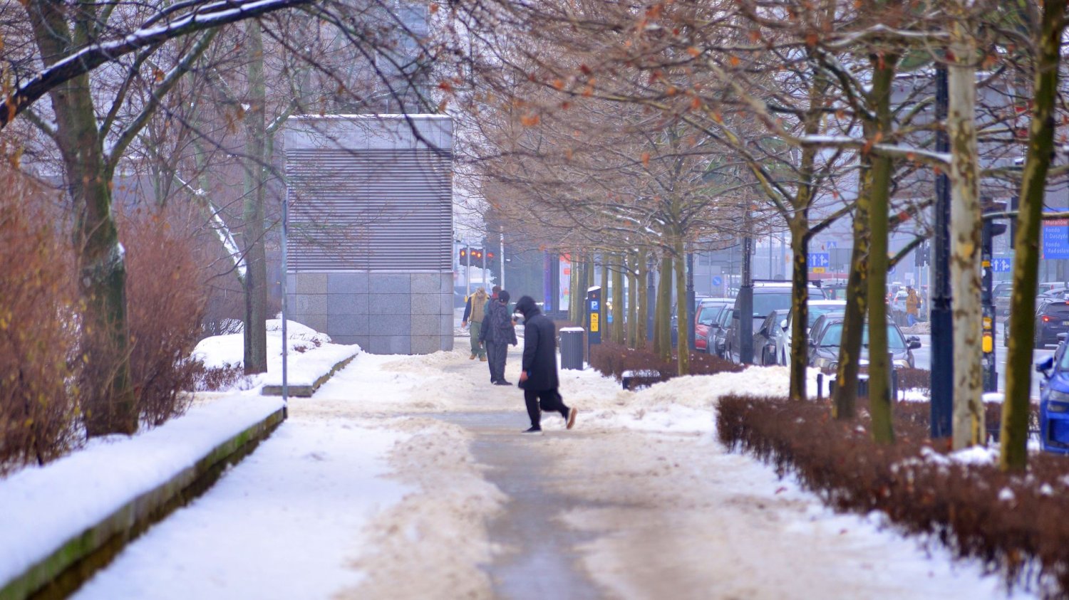 Wiosna w Polsce bez suszy. Ale skutki mrozów mogą być poważne.