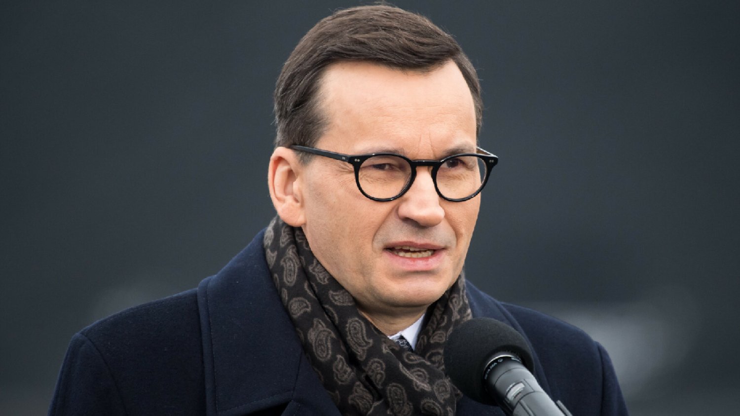 Afera mailowa. Tak Morawiecki zareagował na dramat zwierząt w Radysach.