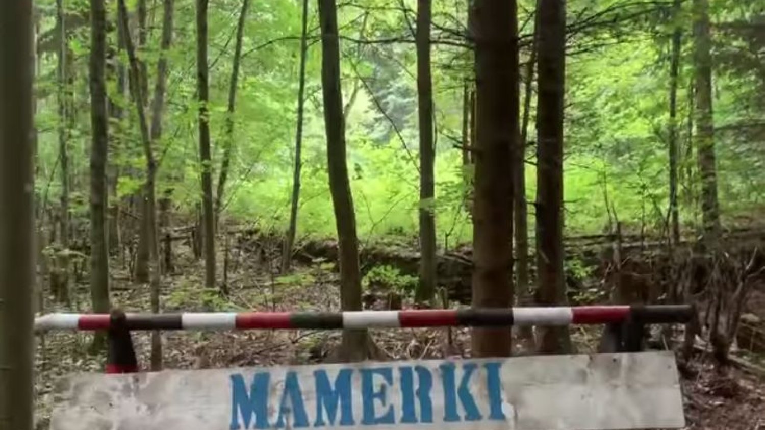 W Mamerkach otwarto odkopany właz. Miała być za nim Bursztynowa Komnata.