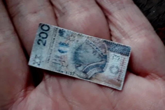 Na 200-złotowym banknocie w klipie Barbary Pieli umieszczono gwiazdę Dawida i wizerunek Lecha Kaczyńskiego.