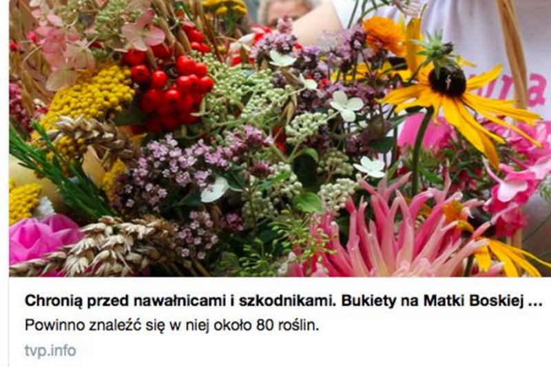 Tysiące ludzi walczy ze skutkami nawałnic, a TVP Info daje taki materiał.