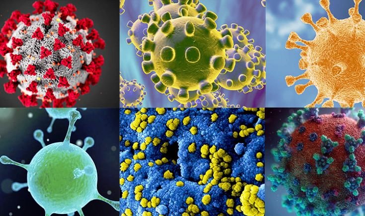 Naukowcy z Ohio potwierdzili istnienie nowego szczepu koronawirusa, który ma w sobie aż trzy różne warianty genów. Nazwano go "Columbus". Nowa mutacja koronawirusa w USA — szczep "Columbus" ma aż 3 warianty genów