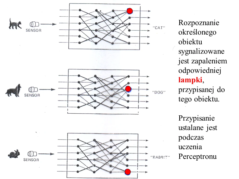 Sposób sygnalizowania decyzji podejmowanych przez Peceptron