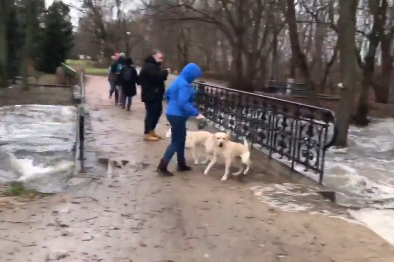 Cofka w Gdańsku Jelitkowie – woda o mało nie zalała mostu przerzuconego nad Potokiem Oliwskim.