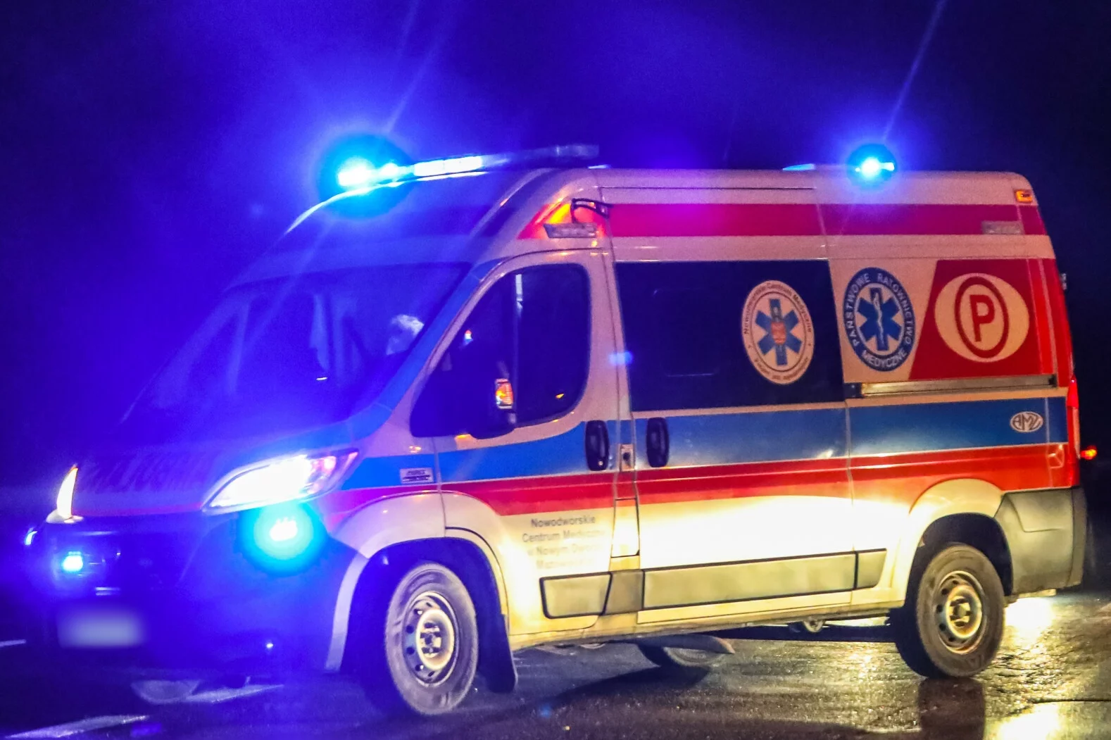 Pies zaatakował 8-letnie dziecko.