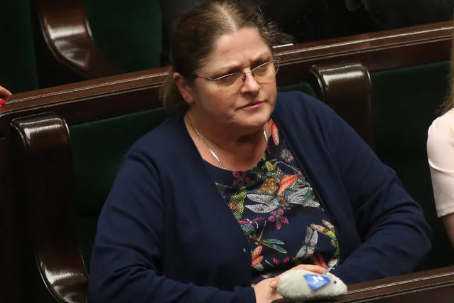 Poseł Krystyna Pawłowicz podejrzewa, że pieniądze na protest medyków mogą pochodzić z niepolskich źródeł.