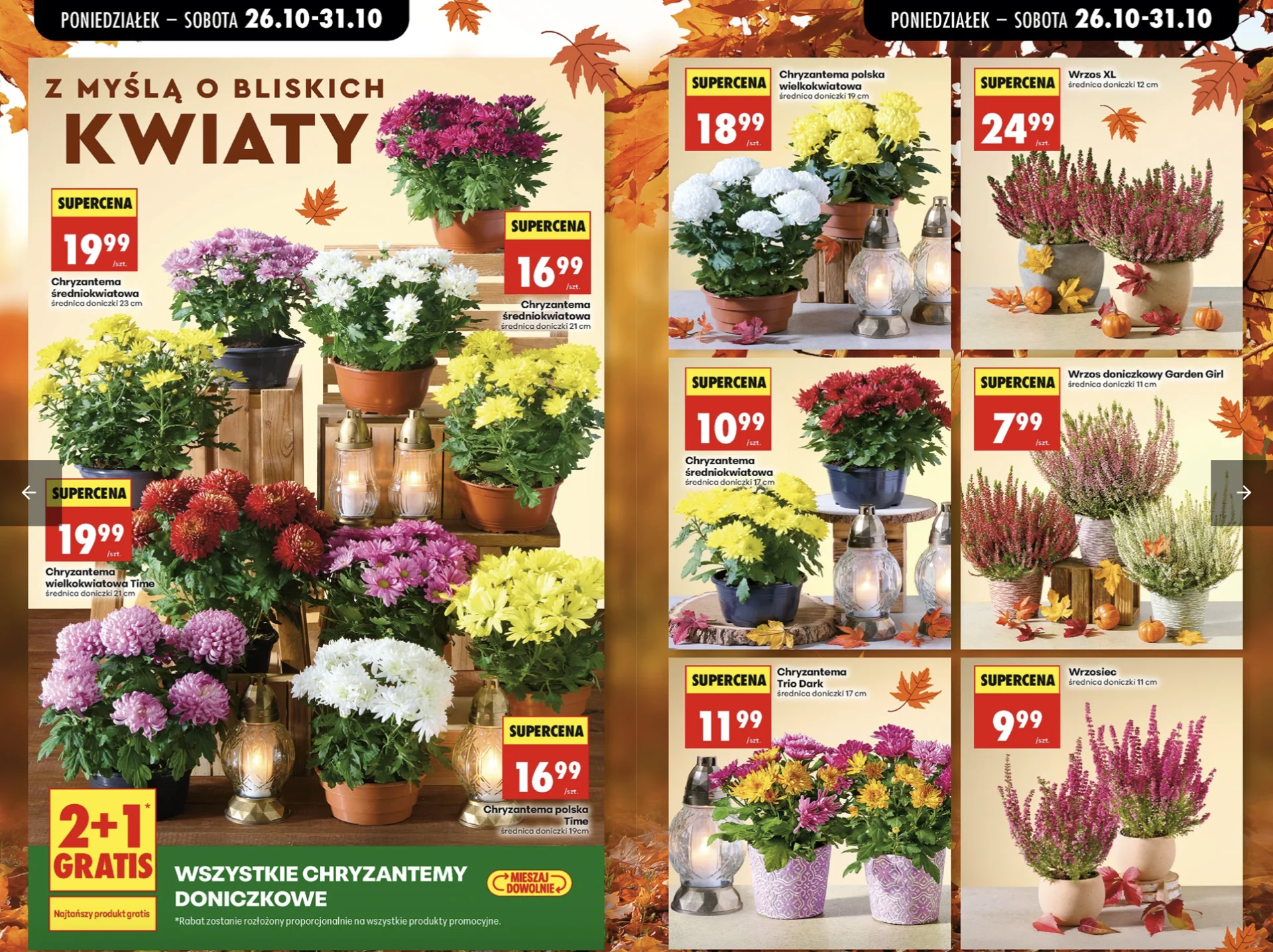 Biedronka odpala 10+10 gratis przed Wszystkimi Świętymi. Znicze i chryzantemy taniej Biedronka