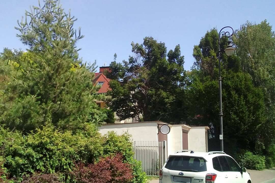 Zielona, spokojna okolica na Żoliborzu zakłócana jest przez głośną muzykę. Sąsiad (dom w głębi) puszczą ją, bo przeszkadza mu gwar z restauracji (pierwszy plan)