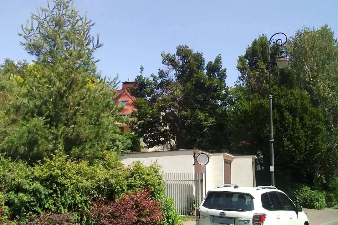 Zielona, spokojna okolica na Żoliborzu zakłócana jest przez głośną muzykę. Sąsiad (dom w głębi) puszczą ją, bo przeszkadza mu gwar z restauracji (pierwszy plan)
