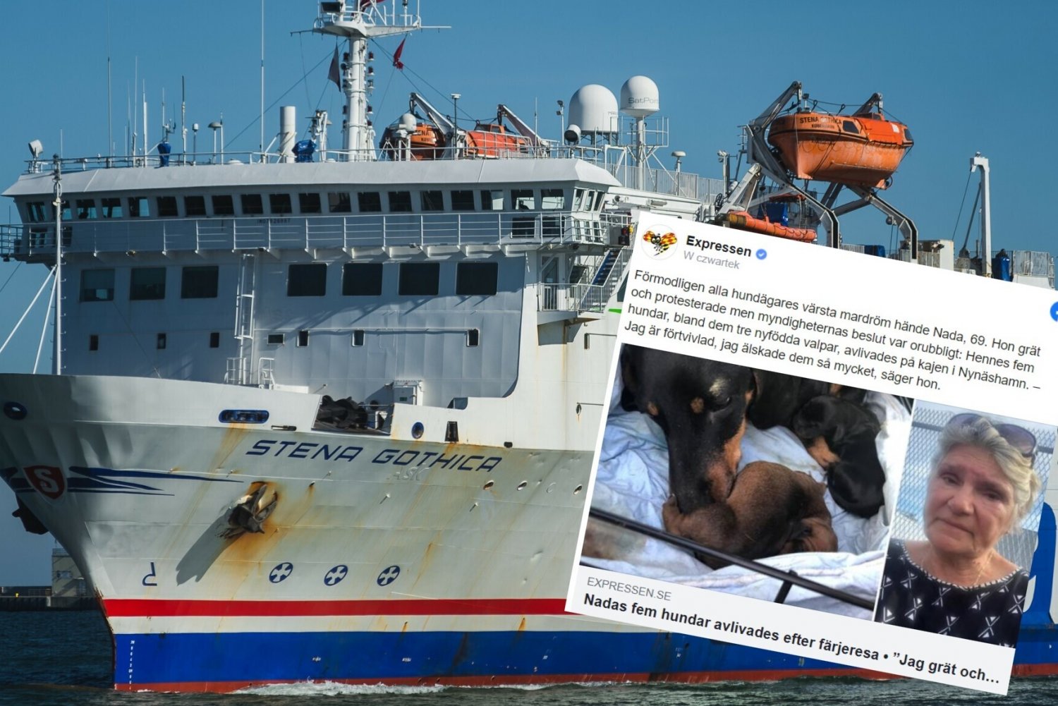 Pasażerka promu z Gdańska do Szwecji zmuszona do uśpienia swoich psów.