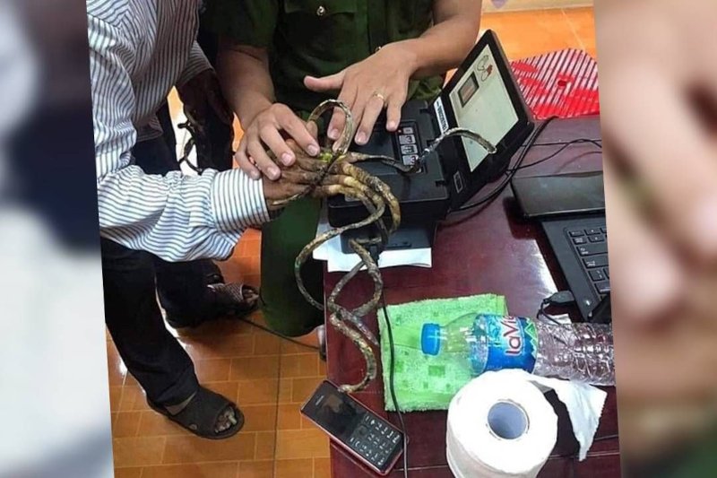 Wietnam. Mężczyzna nie mógł wyrobić sobie nowego dowodu przez metrowe paznokcie.