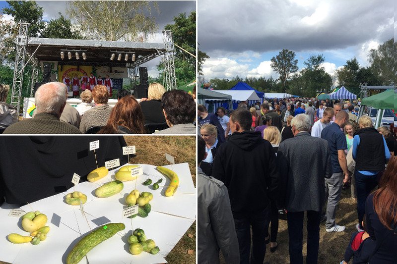 Ogólnopolski Dzień Ogórka w Kruszewie to jedna z lepszych imprez tego sezonu.
