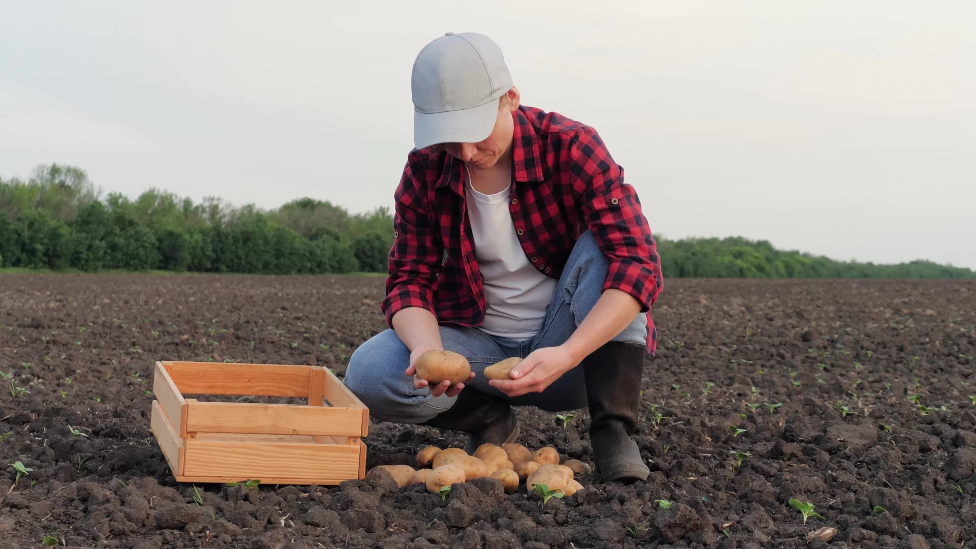Samozbiory to "żniwa" także dla skarbówki. Naliczą ci podatek
