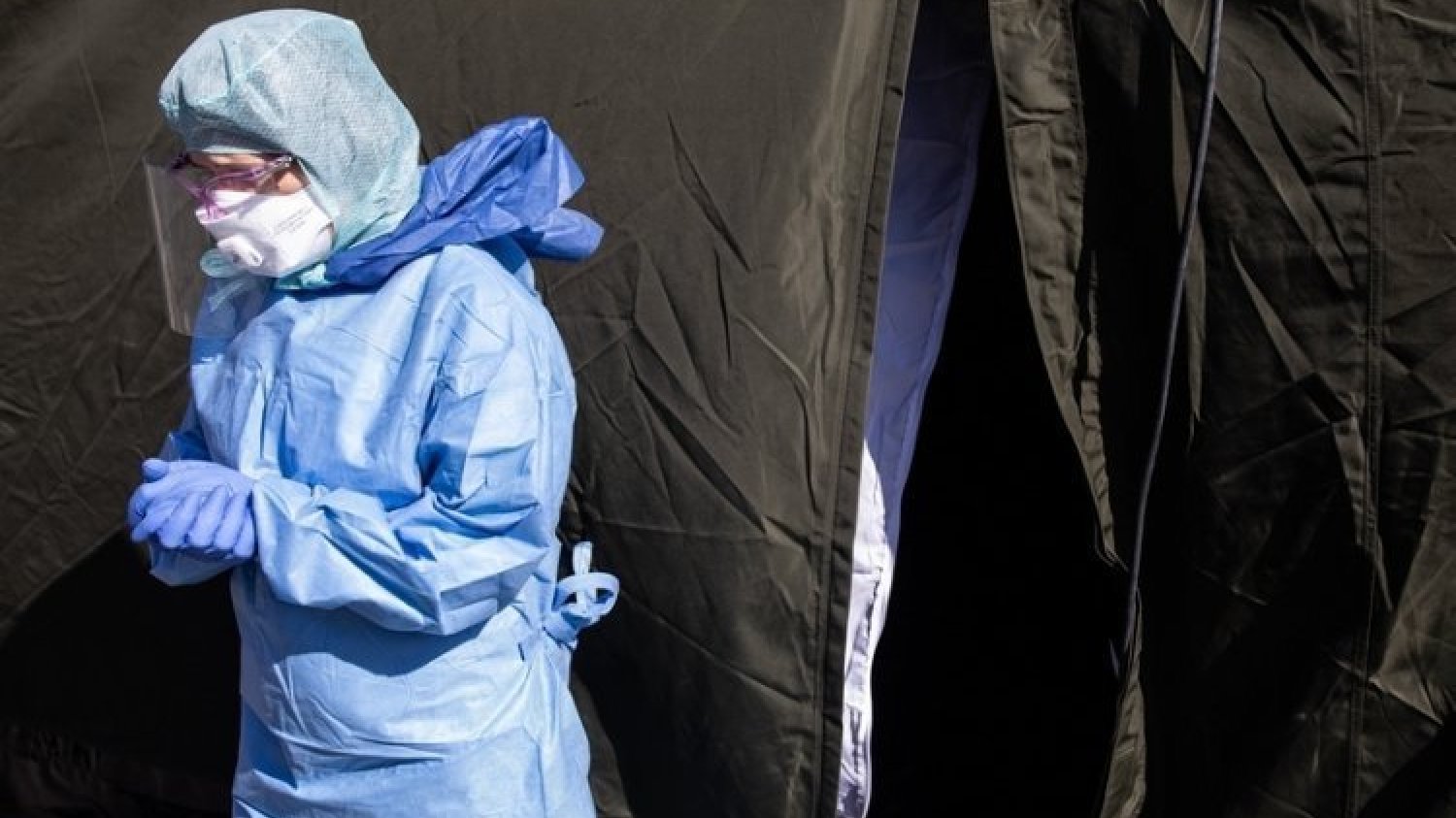 Wirus Nipah to jeden z dziesięciu najgroźniejszych wirusów na Świecie. Czy grozi nam wybuch nowej epidemii?