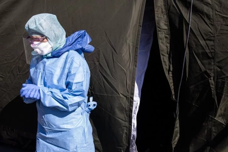 Wirus Nipah to jeden z dziesięciu najgroźniejszych wirusów na Świecie. Czy grozi nam wybuch nowej epidemii?