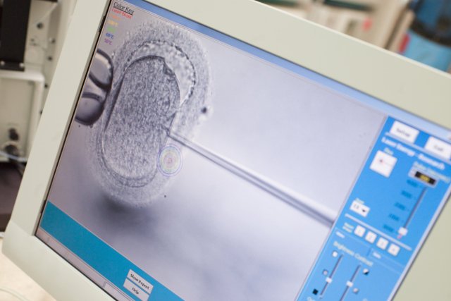 W polskim Senacie odbyła się burzliwa dyskusja o in vitro