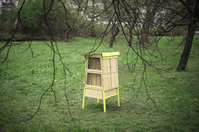 Hotel dla pszczół na Kępie Potockiej w Warszawie