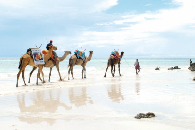 Materiały prasowe / TUI