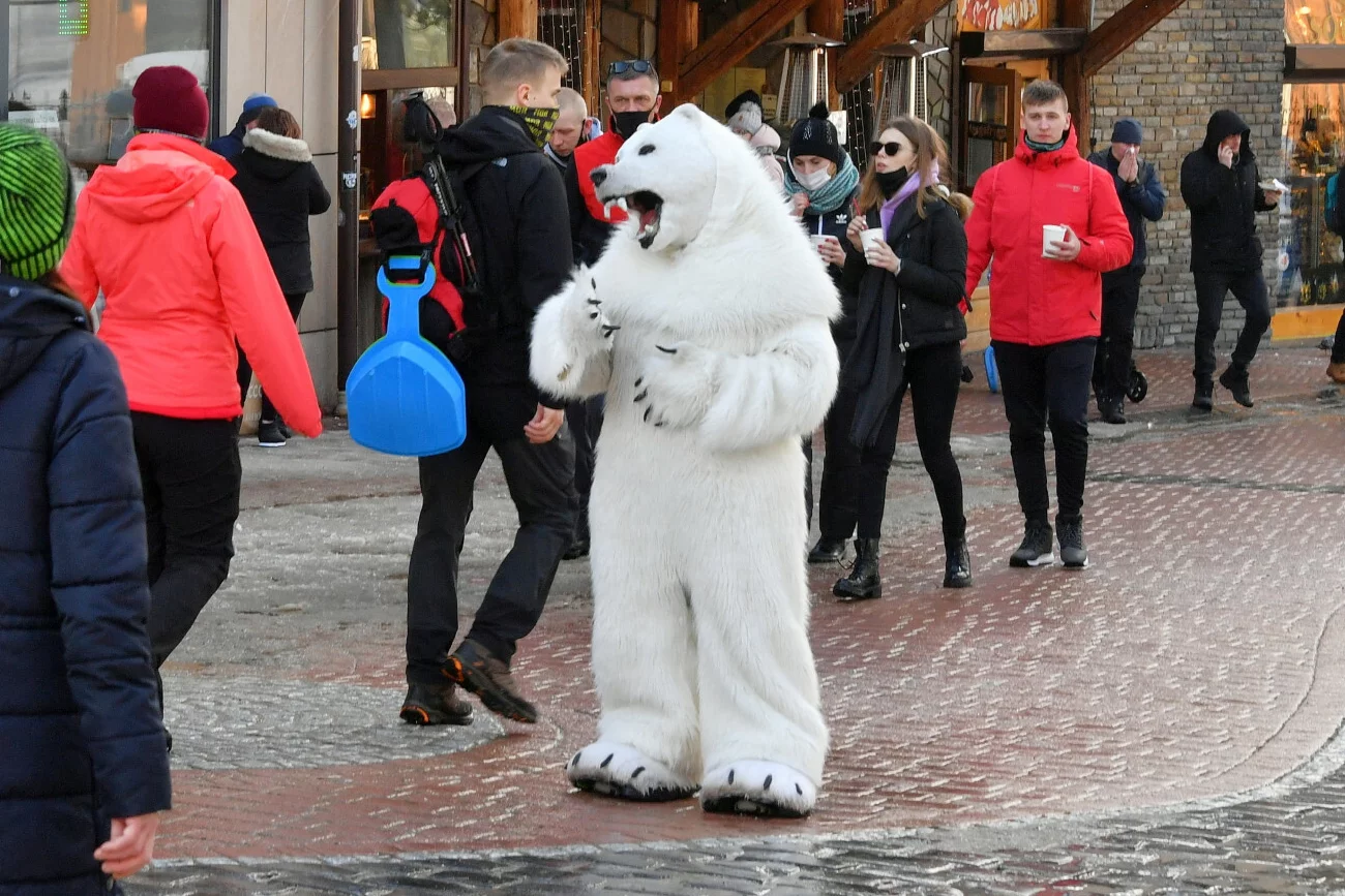 To może być koniec biznesu "fałszywego" misia z Krupówek. Właśnie dostał sporą karę.