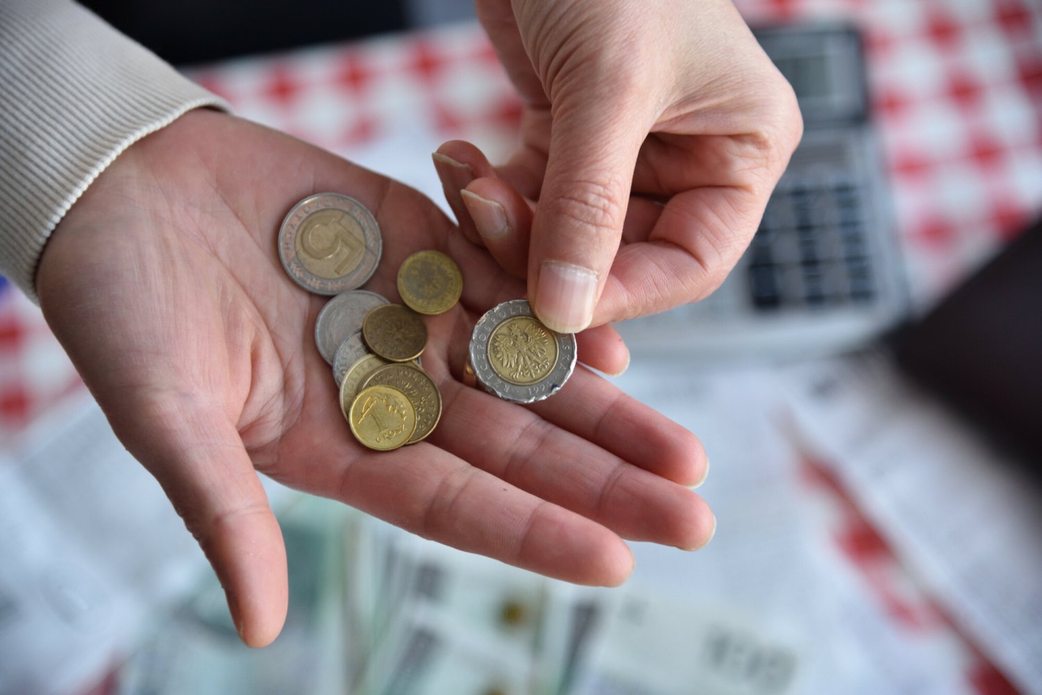 Do obiegu trafiły nowe monety 5 zł. Jak wyglądają?