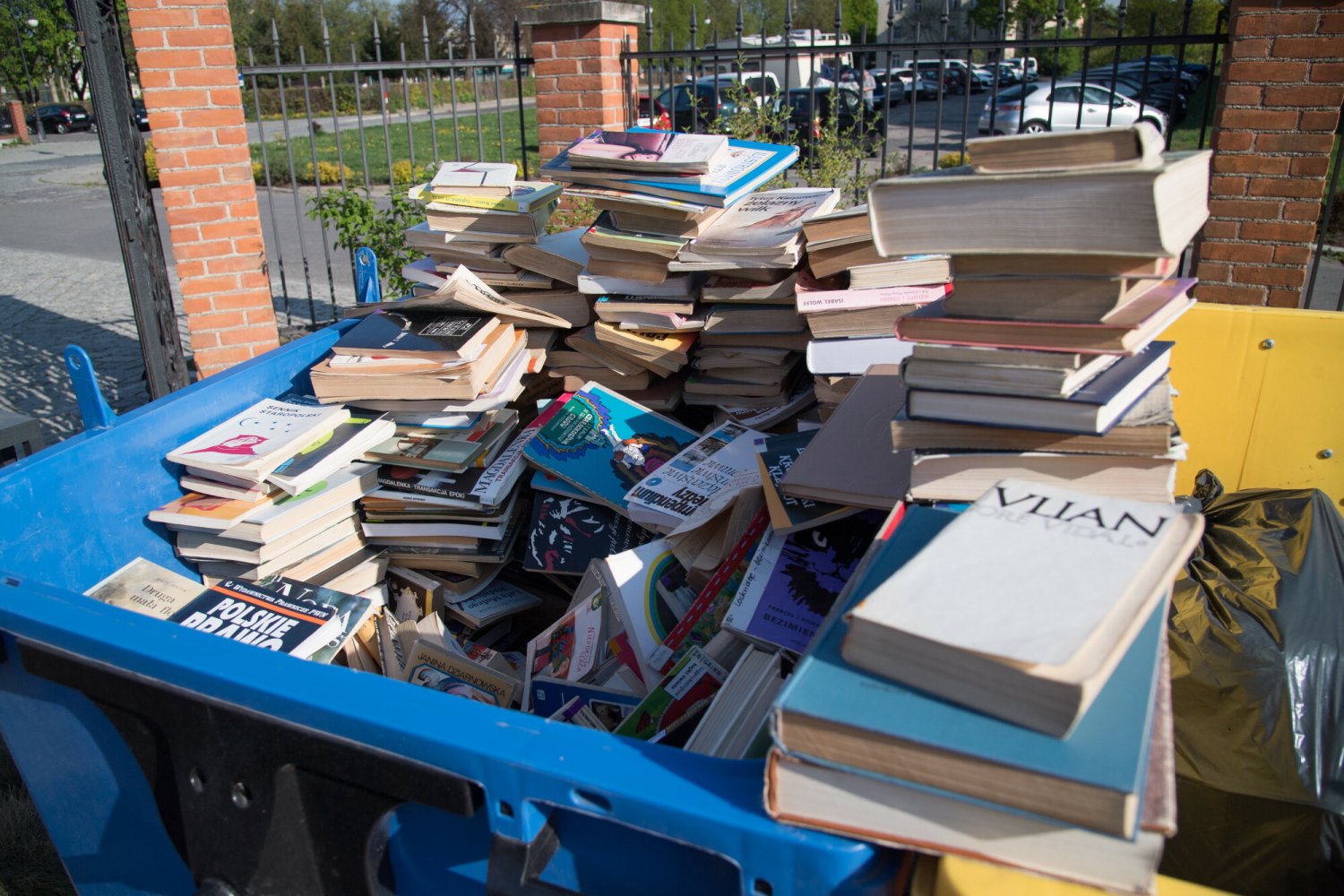 Gdzie należy wyrzucać stare książki i gazety?