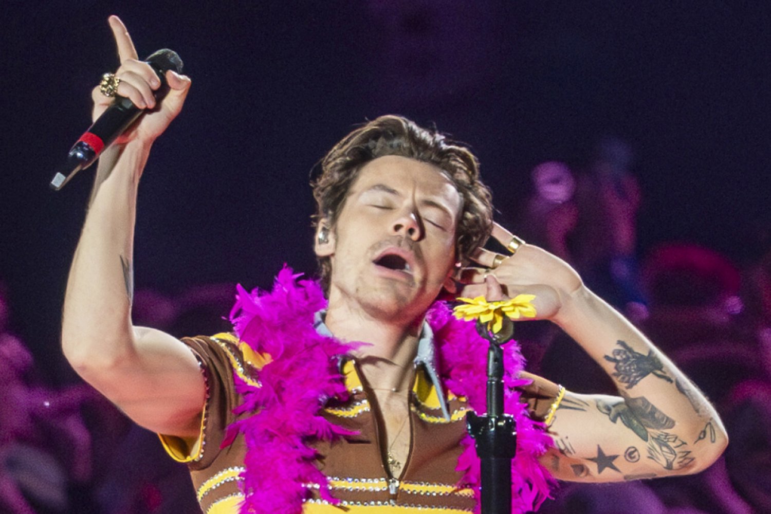 Koncert Harry'ego Stylesa w Polsce. Co się dzieje pod PGE? [bilety, dojazd]