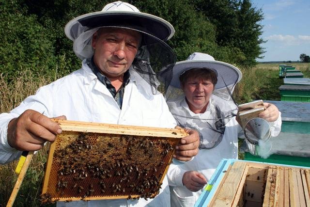 Unijni rolnicy uważają, że chiński miód zagraża ich interesom. Zdjęcie jest tylko ilustracją do tekstu.