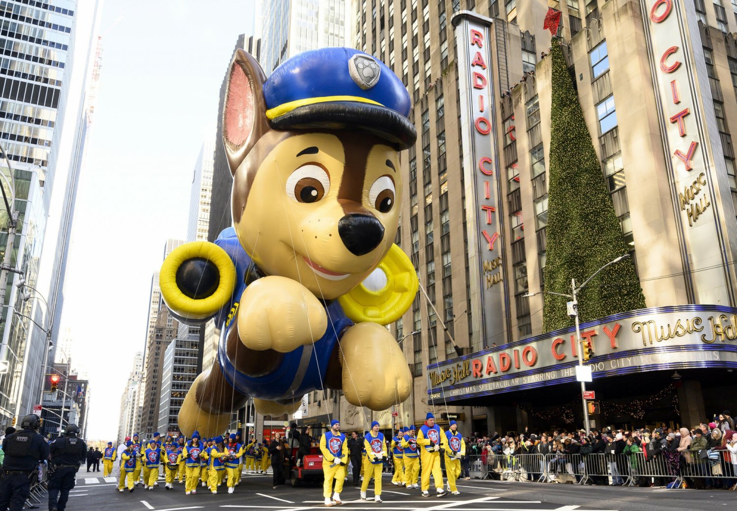 psi patrol netflix online bajka rodzice dzieci popularność