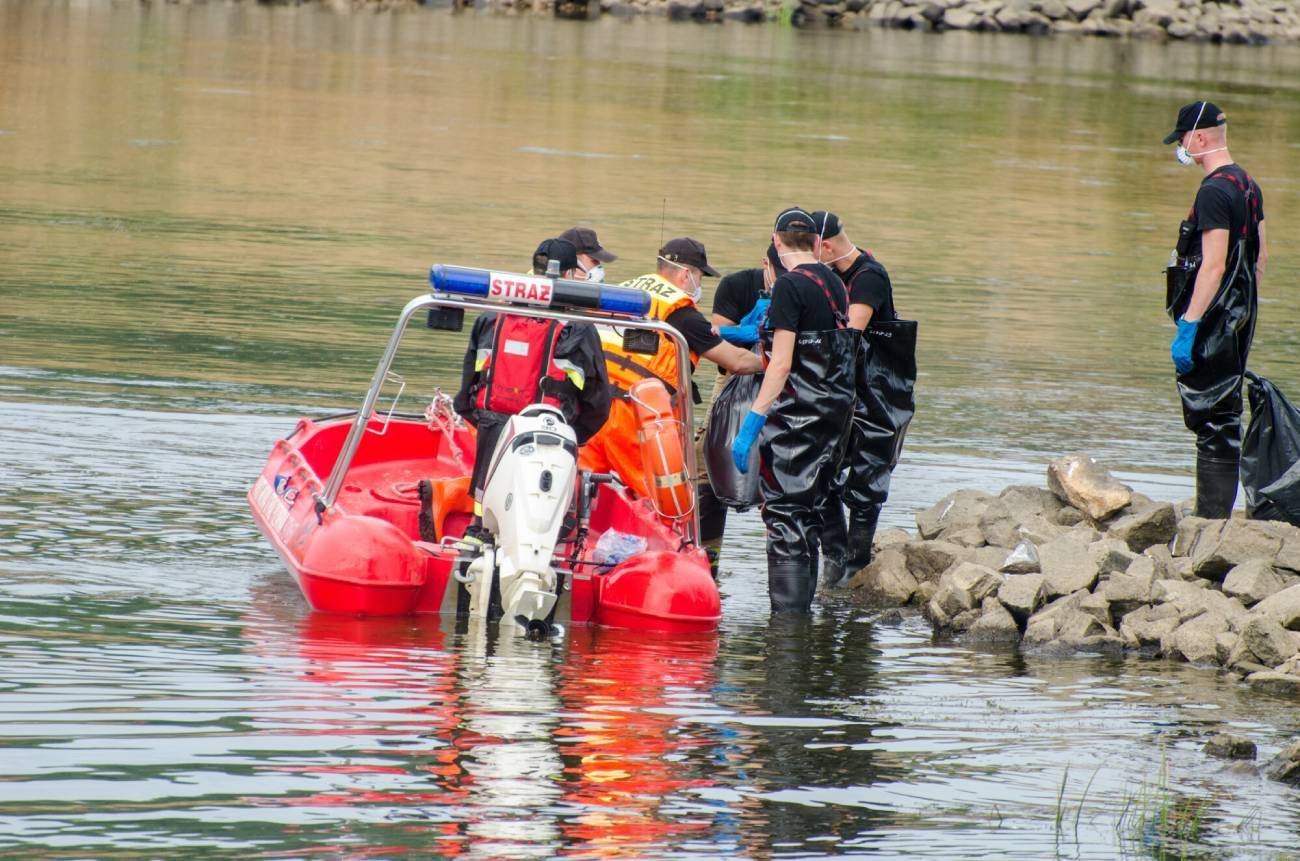 Ekolodzy alarmują, że Odra ma stan krytyczny. Katastrofa w kwietniu?