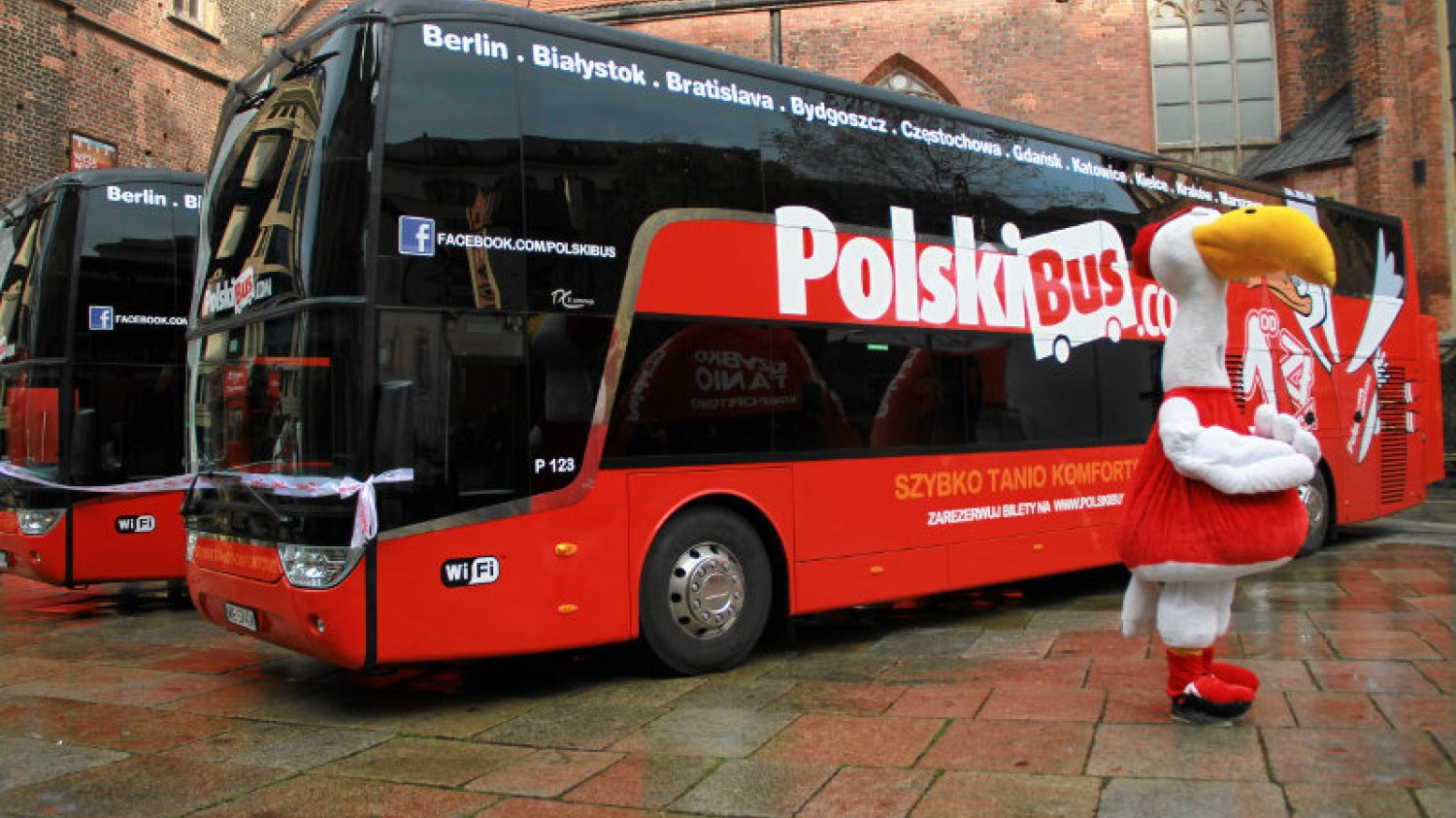 W mediach pojawia się sporo informacji o problemach pasażerów Polskiego Busa. Ale czy można je nazwać "nagonką"?