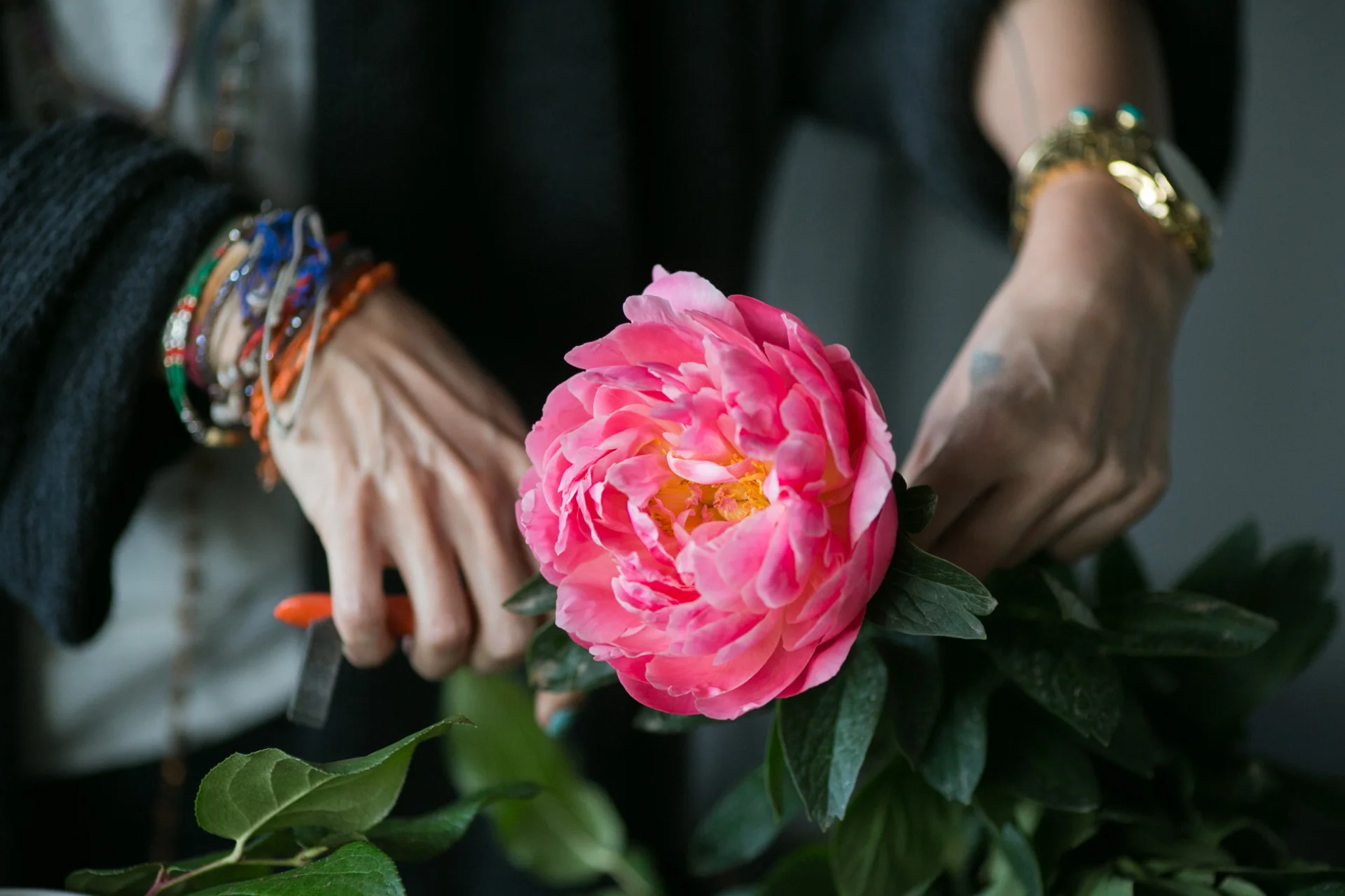Peonie wyjątkowo ładnie wyglądają w "krótkich" bukietach. Przytnijmy ją i oczyśćmy z liści.