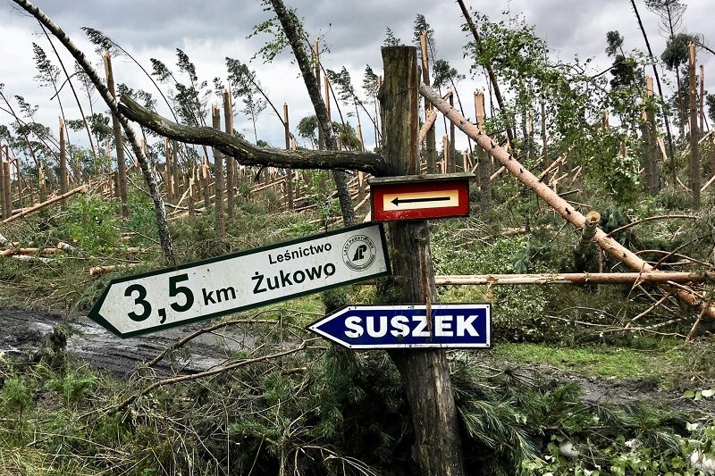 Obóz harcerski w Suszku zakończył się tragicznie. Nie, nie zakończył. Chociaż został zmieciony przez nawałnicę. Harcerze ZHR i ZHP pomagają okolicznym mieszkańcom, którzy pierwsi dotarli do obozu z pomocą. Aby poczuć specyficzny klimat harcerskiego obozu