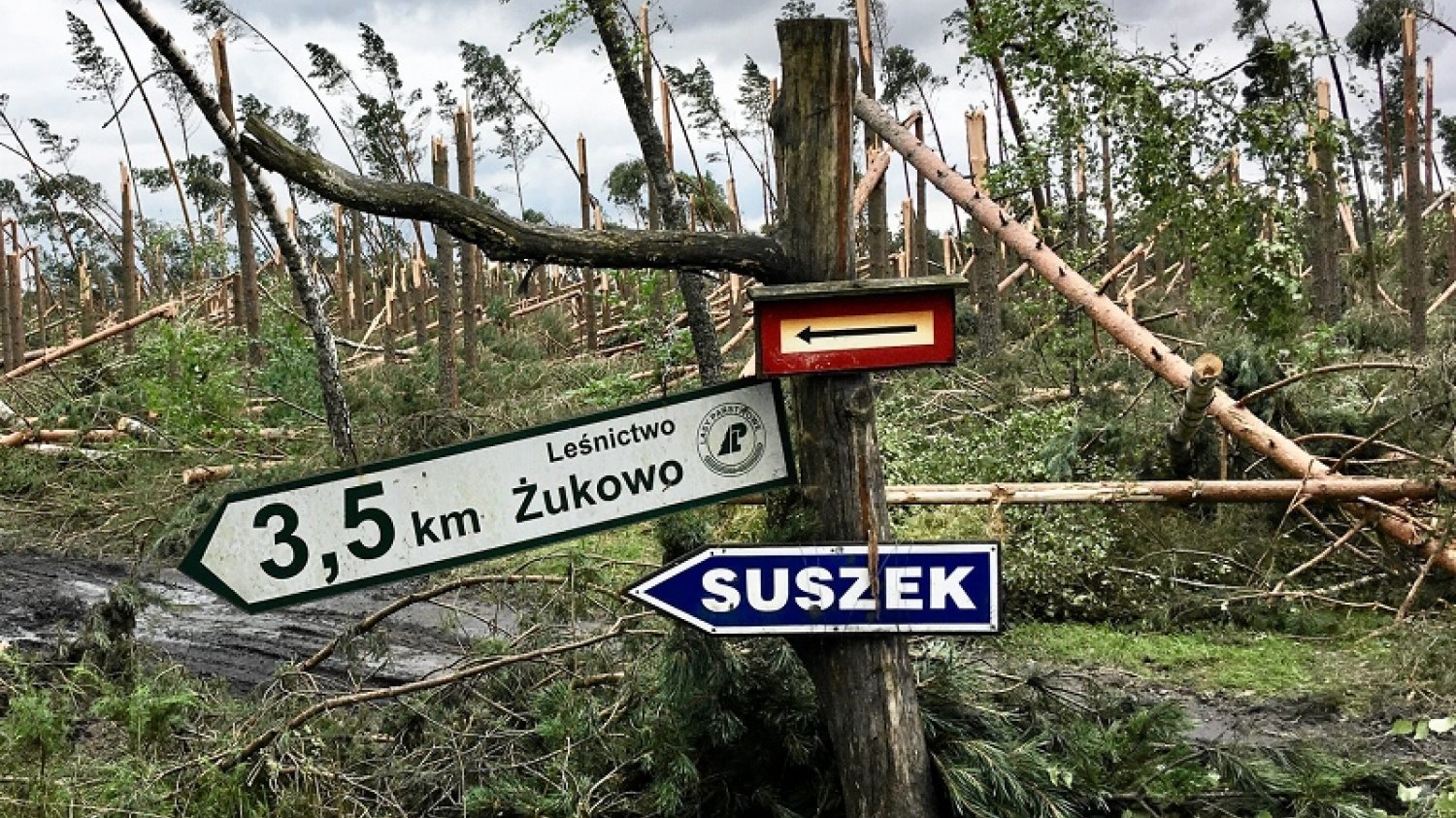 Obóz harcerski w Suszku zakończył się tragicznie. Nie, nie zakończył. Chociaż  został zmieciony przez nawałnicę. Harcerze ZHR i ZHP pomagają okolicznym mieszkańcom, którzy pierwsi dotarli do obozu z pomocą. Aby poczuć specyficzny klimat harcerskiego obozu