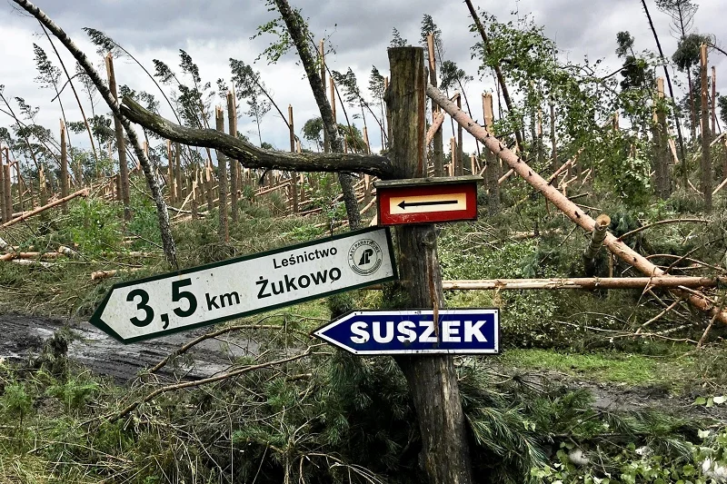 Obóz harcerski w Suszku zakończył się tragicznie. Nie, nie zakończył. Chociaż został zmieciony przez nawałnicę. Harcerze ZHR i ZHP pomagają okolicznym mieszkańcom, którzy pierwsi dotarli do obozu z pomocą. Aby poczuć specyficzny klimat harcerskiego obozu